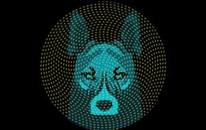 Microsonidos 2017: El Imperio del Perro (13 mayo)