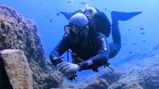 Bautismo de buceo junto a la reserva marítima de Cabo Tiñoso