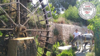 Senderismo con burros en el Valle de Ricote "PREMIO FITUR 2023"