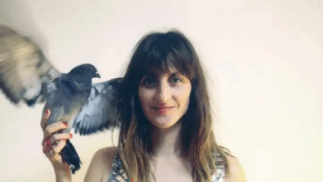 Clara Ingold: Paloma de parque (7 nov)