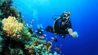 Bautismo de buceo en Cabo de Palos